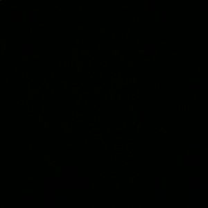 Meet your Posher, Tania